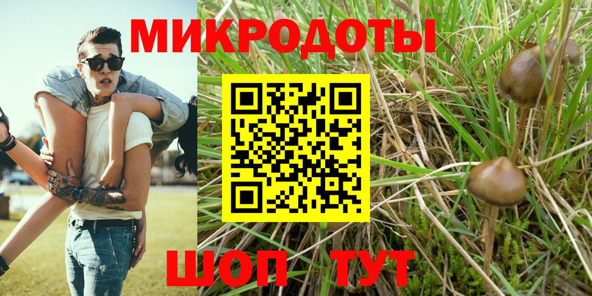 Галлюциногенные грибы Psilocybe  Вход с VPN  Ковров 