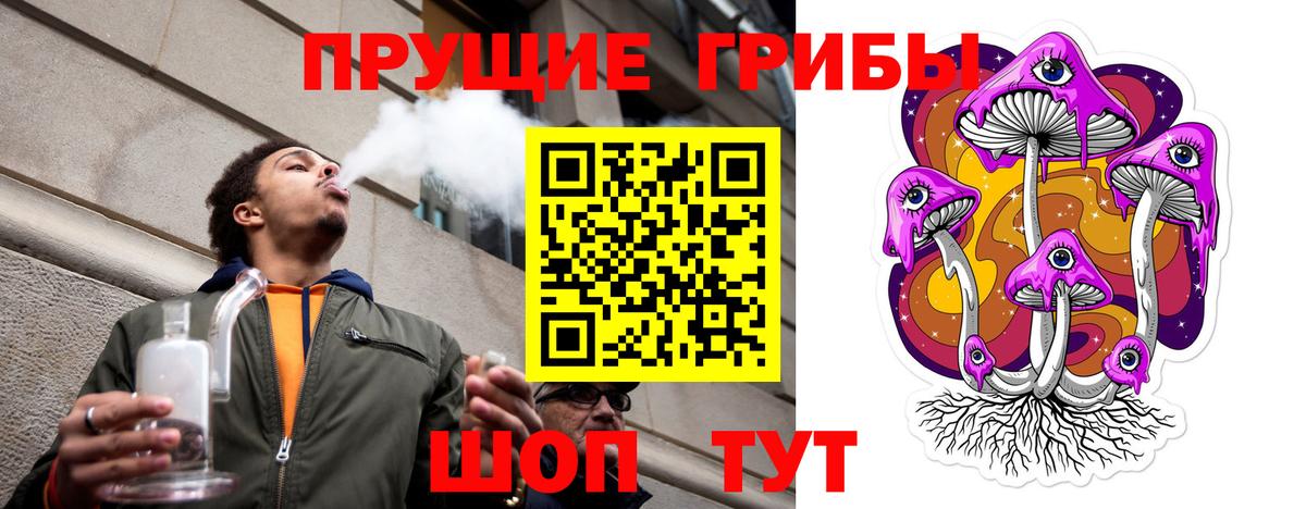Псилоцибиновые грибы GOLDEN TEACHER Ковров